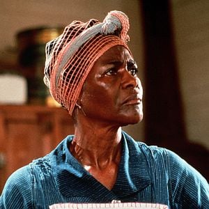 Fotoğraf Kızarmış Yeşil Domatesler