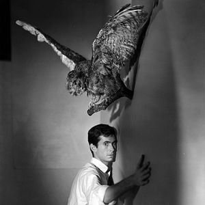 Fotoğraf Anthony Perkins
