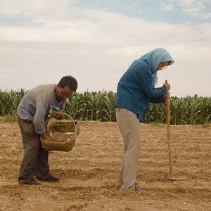 Fotoğraf Yin Ru Chen Yan