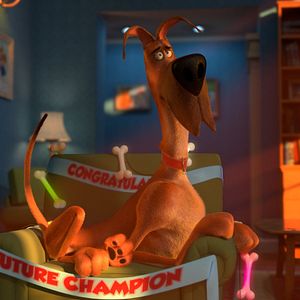 Fotoğraf Marmaduke