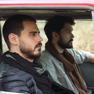 Fotoğraf Yalnız Kurt