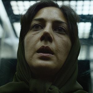 Fotoğraf Kutsal Örümcek