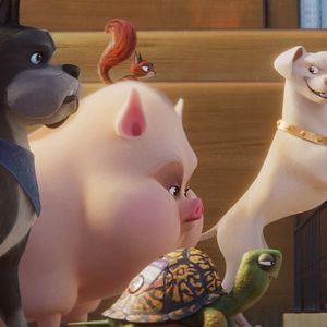 Fotoğraf DC Süper Evciller Takımı