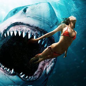 Fotoğraf Kan Kokusu