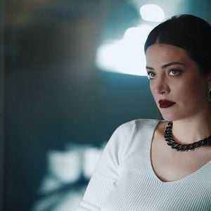 Fotoğraf Kuş Uçuşu