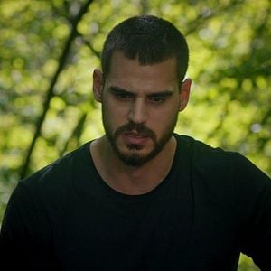 Fotoğraf Yalnız Kurt