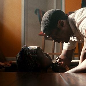 Fotoğraf Trees Of Peace