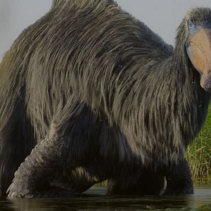 Fotoğraf Prehistoric Planet