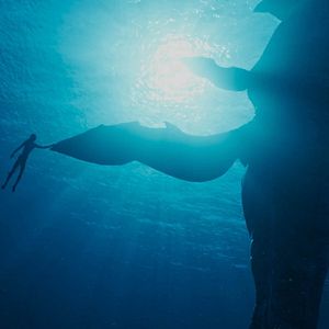 Fotoğraf Avatar: Suyun Yolu