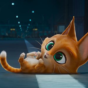 Fotoğraf DC Süper Evciller Takımı