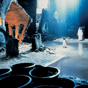 Fotoğraf Kaplan ve Ejderha