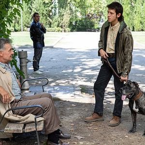 Fotoğraf Francis Lorenzo