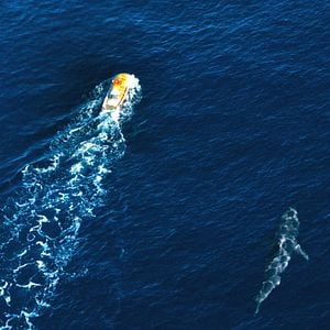 Fotoğraf Kan Kokusu