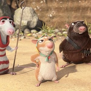 Fotoğraf Muhteşem Kedi Maurice