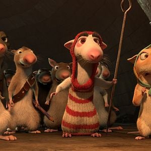 Fotoğraf Muhteşem Kedi Maurice