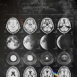 Fotoğraf Something in the Dirt