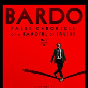 Fotoğraf Bardo, Bir Avuç Doğrunun Yalan Yanlış Güncesi