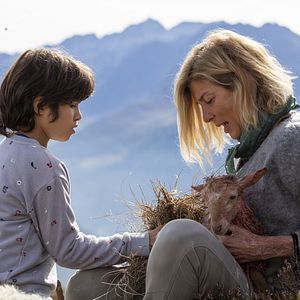 Fotoğraf Belle ve Sebastian: Cesur Dostum