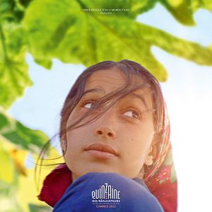 Fotoğraf İncir Ağaçlarının Altında