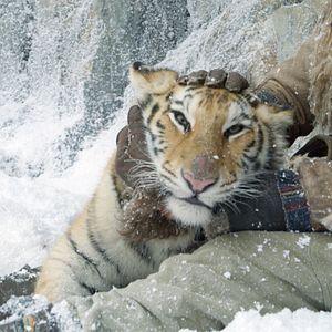 Fotoğraf Ta'igara: An adventure in the Himalayas