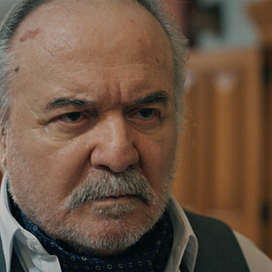 Fotoğraf Yalı Çapkını