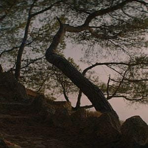 Fotoğraf Simone, le voyage du siècle