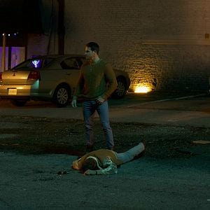 Fotoğraf Collection