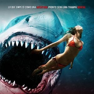 Fotoğraf Kan Kokusu