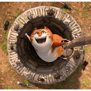 Fotoğraf Muhteşem Kedi Maurice