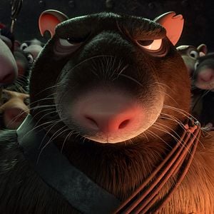 Fotoğraf Muhteşem Kedi Maurice