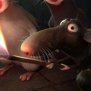 Fotoğraf Muhteşem Kedi Maurice