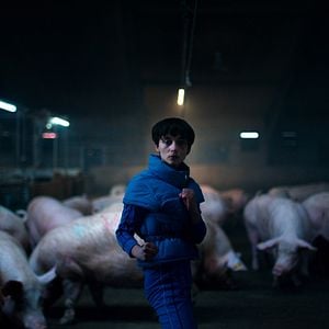 Fotoğraf Copenhagen Cowboy