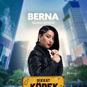 Fotoğraf Dikkat Köpek Var