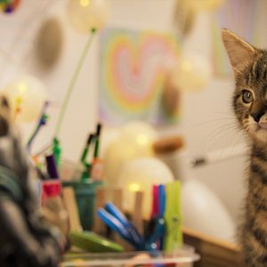 Fotoğraf Mon chat et moi, la grande aventure de Rroû