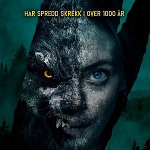 Fotoğraf Vikingulven