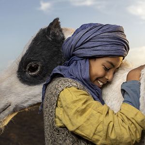 Fotoğraf Zodi et Téhu, frères du désert
