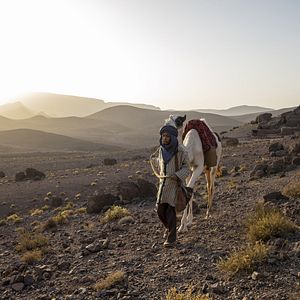 Fotoğraf Zodi et Téhu, frères du désert