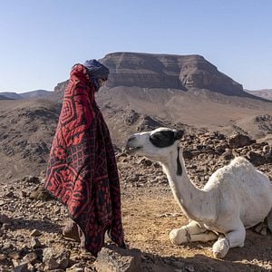 Fotoğraf Zodi et Téhu, frères du désert