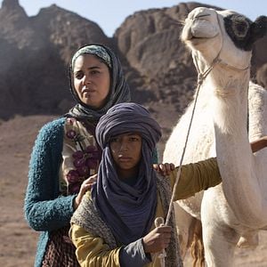Fotoğraf Zodi et Téhu, frères du désert