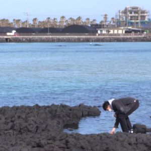 Fotoğraf mul-an-e-seo