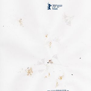 Fotoğraf Unutma Biçimleri