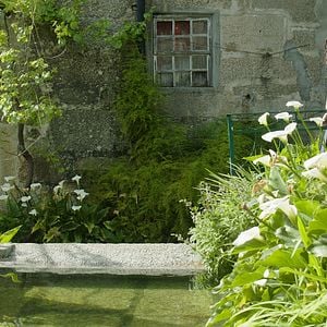 Fotoğraf Joana Ribeiro