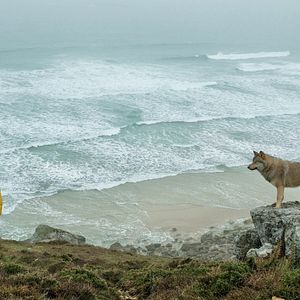 Fotoğraf La Chambre des merveilles
