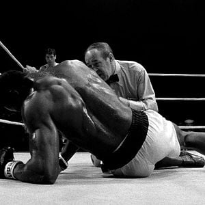 Fotoğraf Kızgın Boğa