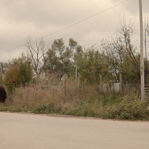 Fotoğraf Savaş Atı