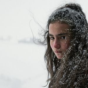 Fotoğraf Kuru Otlar Üstüne