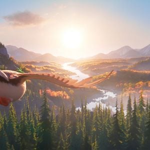 Fotoğraf Ördeklerin Göçü