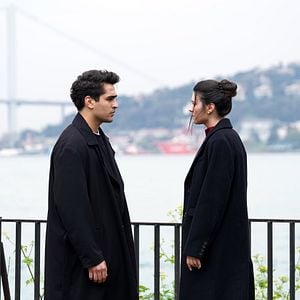 Fotoğraf Yalı Çapkını