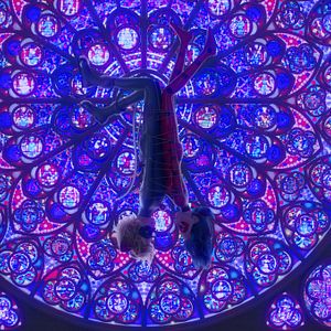 Fotoğraf Mucize Uğur Böceği ile Kara Kedi