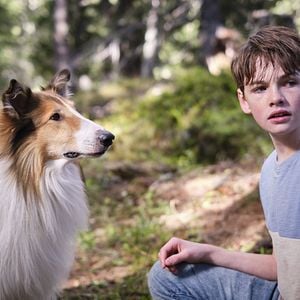 Fotoğraf Lassie: Yepyeni Bir Macera